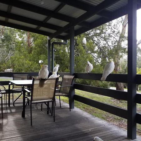 Cockatoo Cabin Halls Gap Luaran gambar
