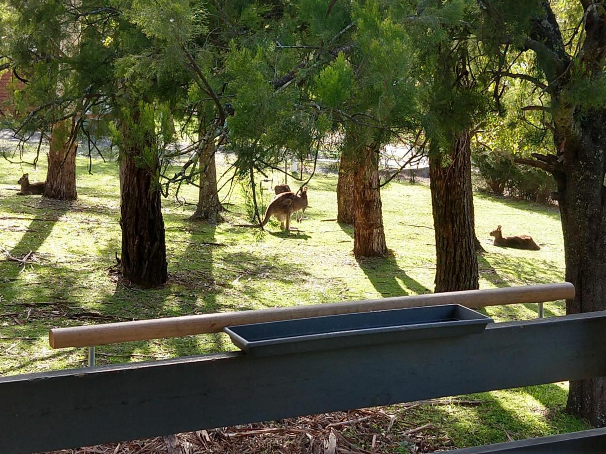Cockatoo Cabin Halls Gap Luaran gambar